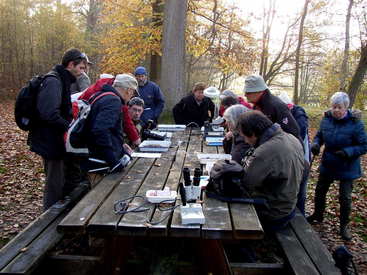 2011 11 Macrofaune benthique St Léger 05